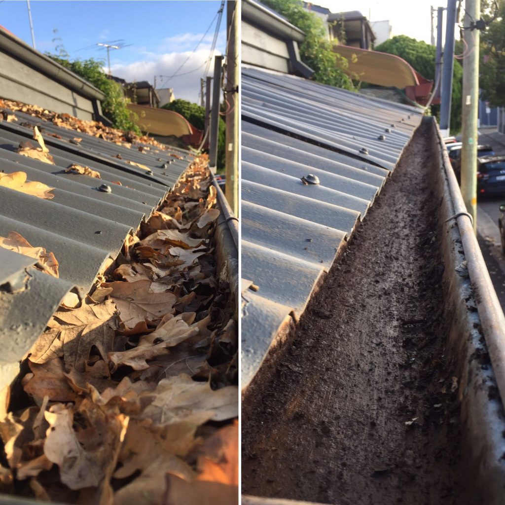 Gutter Cleaning Sydney