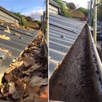 Gutter Cleaning Sydney