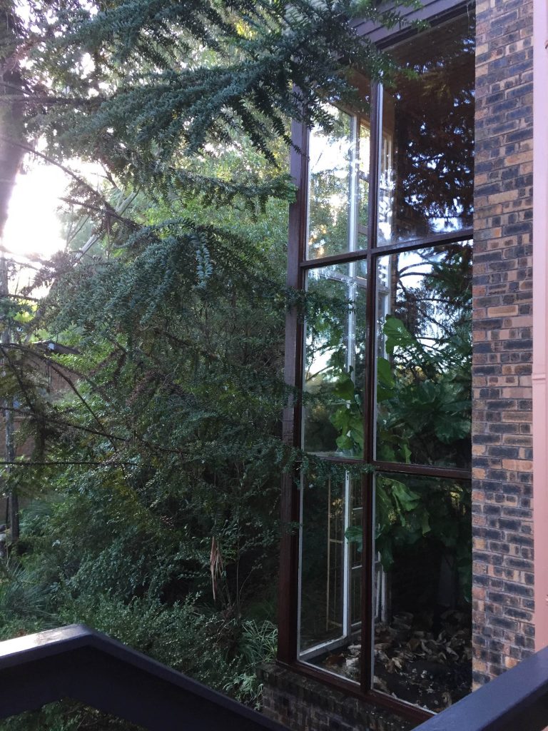Atrium outside